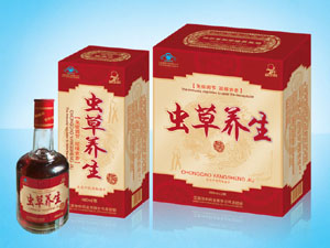 蟲草養生酒 