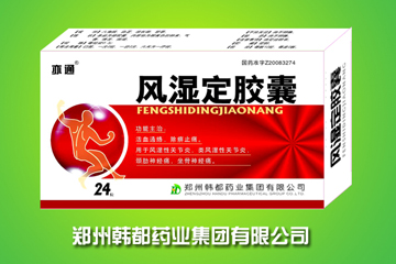 風(fēng)濕定膠囊 
