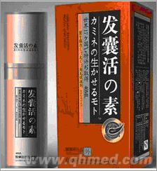 圣誕促銷發囊活素 