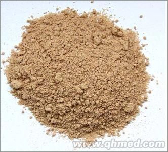 側柏葉提取物 側柏葉提取物