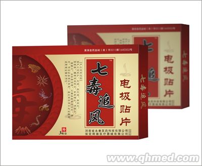七毒追風電極貼片 