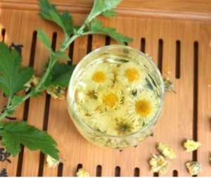決明菊花茶代加工及價格 決明菊花茶