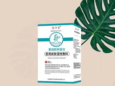 醫用皮膚濕性敷料 