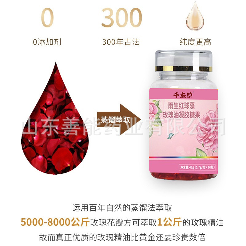 雨生紅球藻玫瑰油凝膠糖果 山東善能藥業招商