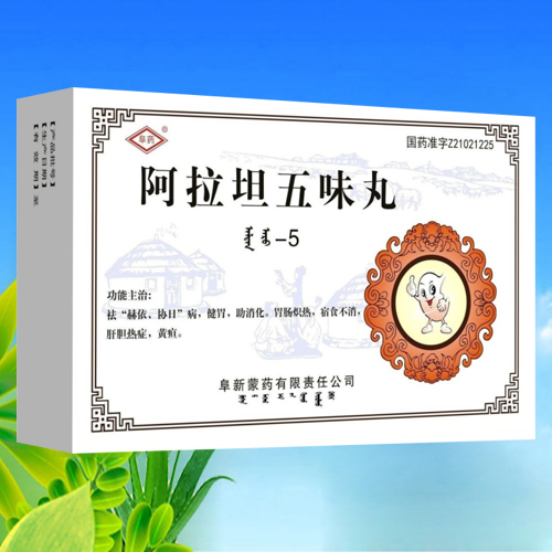 阿拉坦五味丸 阿拉坦五味丸