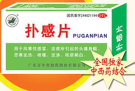 撲感片 
