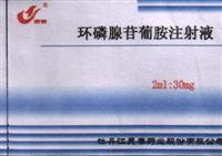 環磷腺苷葡胺注射液 