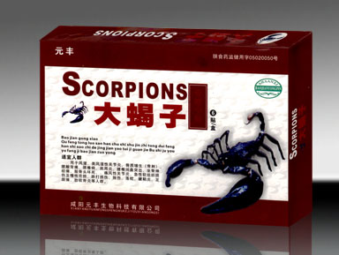大蝎子骨康痛樂貼 